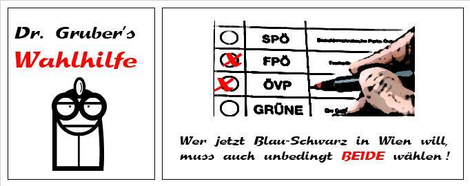 2015 Wienwahl Special 7: Wahlhilfe